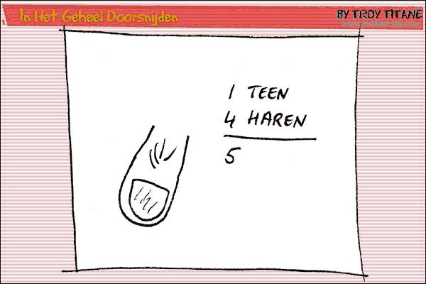 In Het Geheel Doorsnijden, February 4, 2005